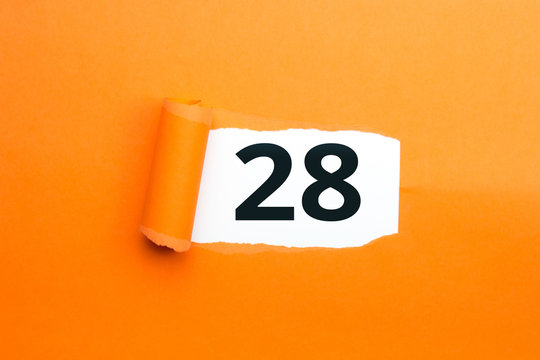 Hausmitteilung Nr. 28 – Lehrerberatung_Weihnachtsgrüße